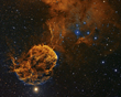 © Patrick Gilliland   IC443 (Insight Astronomy Photographer of the Year, Astronomy Centre)